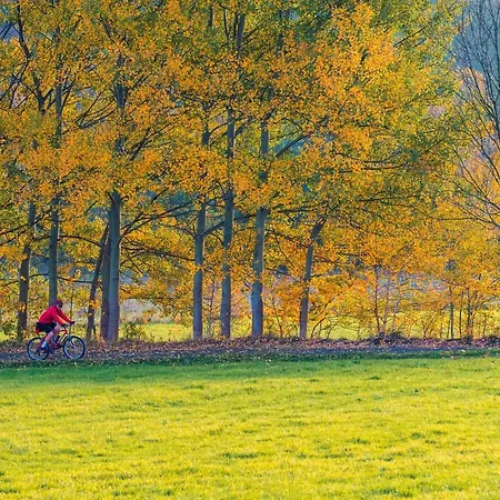 Tess Βίλα Lázně Libverda